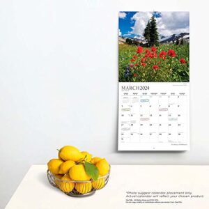 The Beauty of Wildflowers | 2024 12 x 24 Inch Monthly Square Wall Calendar | Sticker Sheet | StarGifts | Outdoor Plant Floral