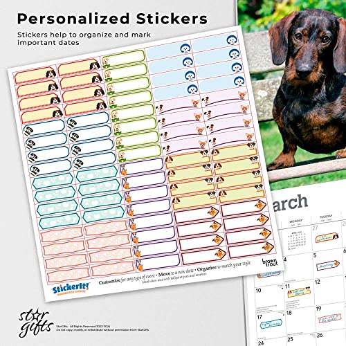 The Beauty of Dachshunds | 2024 14 x 24 Inch Monthly Deluxe Wall Calendar | Sticker Sheet | StarGifts | Animal Dog Breeds