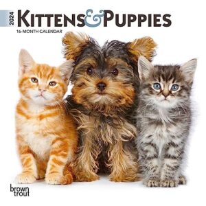 Kittens & Puppies | 2024 7 x 14 Inch Monthly Mini Wall Calendar | BrownTrout | Animals Cute Dogs Cats