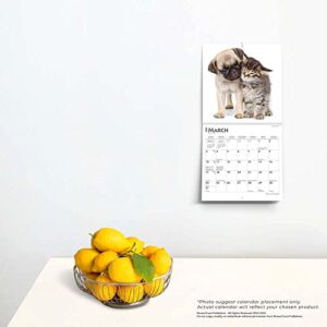 Kittens & Puppies | 2024 7 x 14 Inch Monthly Mini Wall Calendar | BrownTrout | Animals Cute Dogs Cats