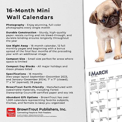 Kittens & Puppies | 2024 7 x 14 Inch Monthly Mini Wall Calendar | BrownTrout | Animals Cute Dogs Cats