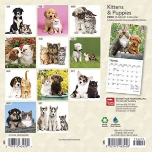 Kittens & Puppies | 2024 7 x 14 Inch Monthly Mini Wall Calendar | BrownTrout | Animals Cute Dogs Cats