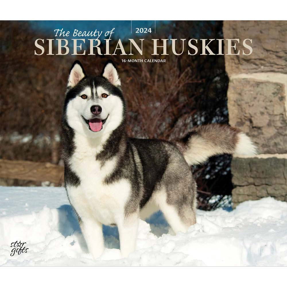 The Beauty of Siberian Huskies | 2024 14 x 24 Inch Monthly Deluxe Wall Calendar | Sticker Sheet | StarGifts | Animal Dog Breeds Husky