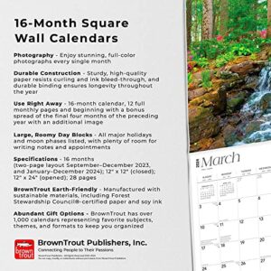 America | 2024 12 x 24 Inch Monthly Square Wall Calendar | Foil Stamped Cover | BrownTrout | USA United States Scenic Nature