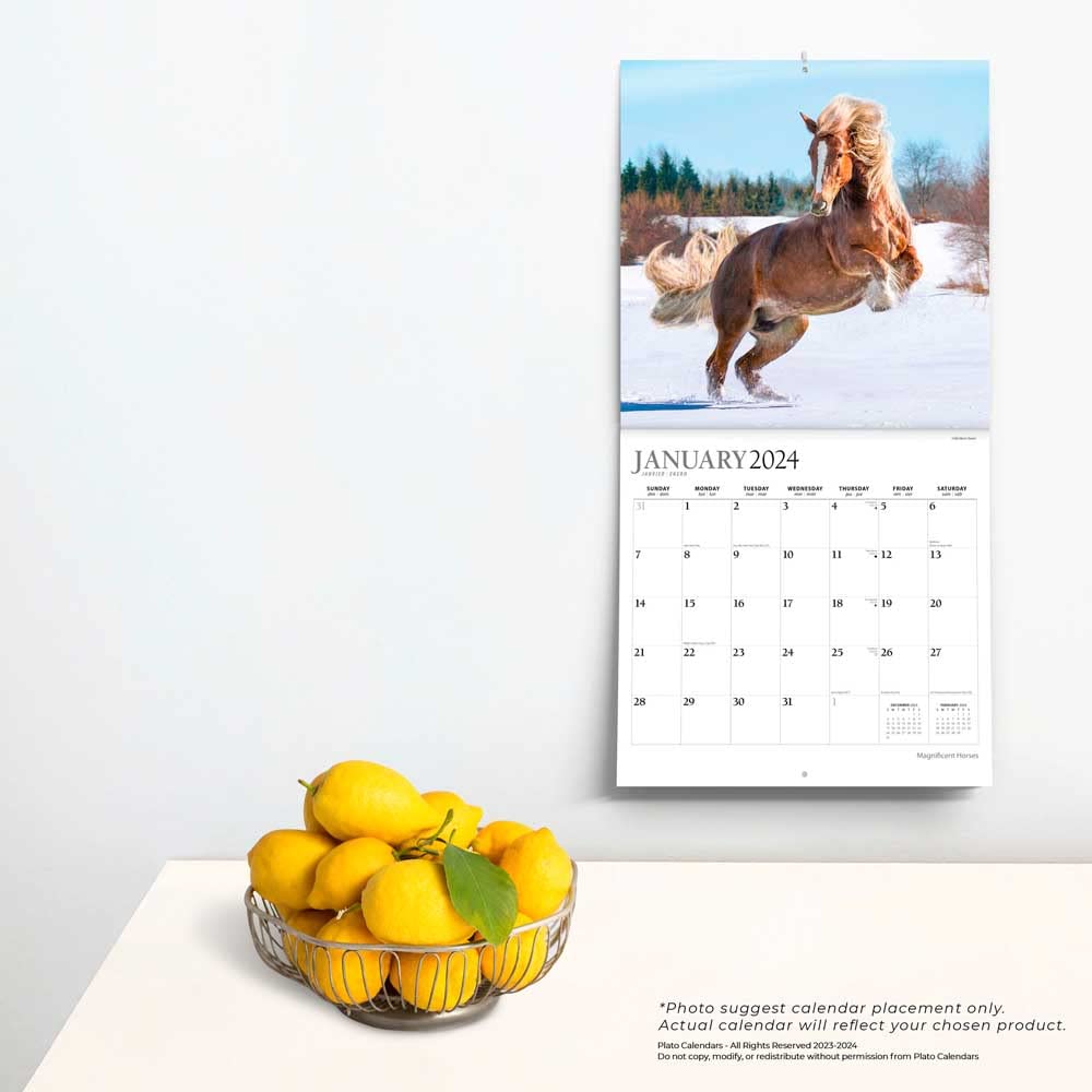 Magnificent Horses | 2024 12 x 24 Inch 18 Months Monthly Square Wall Calendar | Foil Stamped Cover | July 2023 - December 2024 | Plato | Animals Equestrian