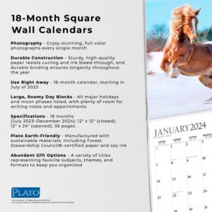 Magnificent Horses | 2024 12 x 24 Inch 18 Months Monthly Square Wall Calendar | Foil Stamped Cover | July 2023 - December 2024 | Plato | Animals Equestrian