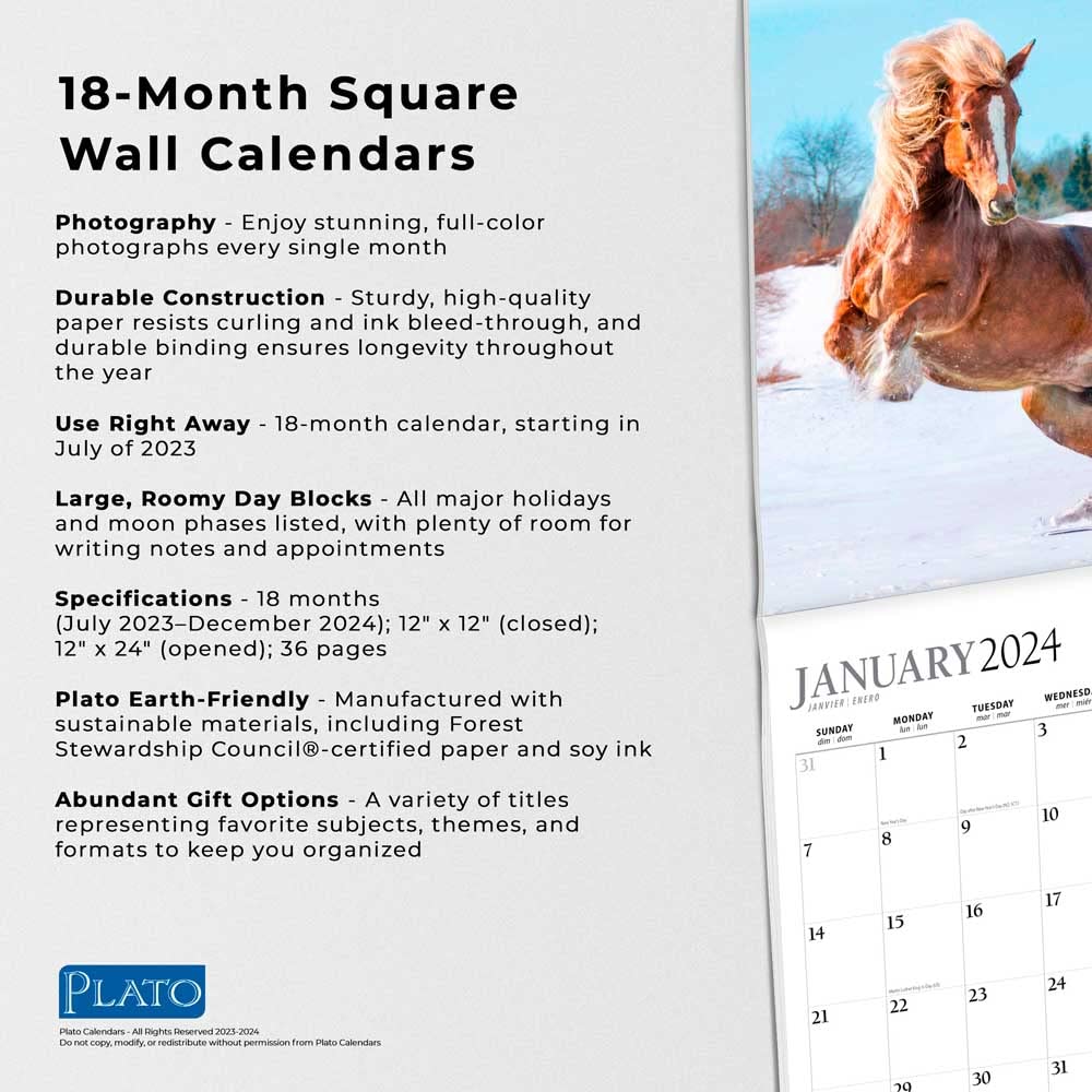 Magnificent Horses | 2024 12 x 24 Inch 18 Months Monthly Square Wall Calendar | Foil Stamped Cover | July 2023 - December 2024 | Plato | Animals Equestrian