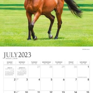 Magnificent Horses | 2024 12 x 24 Inch 18 Months Monthly Square Wall Calendar | Foil Stamped Cover | July 2023 - December 2024 | Plato | Animals Equestrian