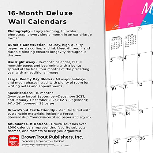 Big & Bright Large Print | 2024 14 x 24 Inch Monthly Deluxe Wall Calendar | Matte Paper | BrownTrout | Easy to See Large Font