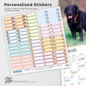 The Beauty of Black Labrador Retrievers | 2024 14 x 24 Inch Monthly Deluxe Wall Calendar | Sticker Sheet | StarGifts | Animal Dog Breeds