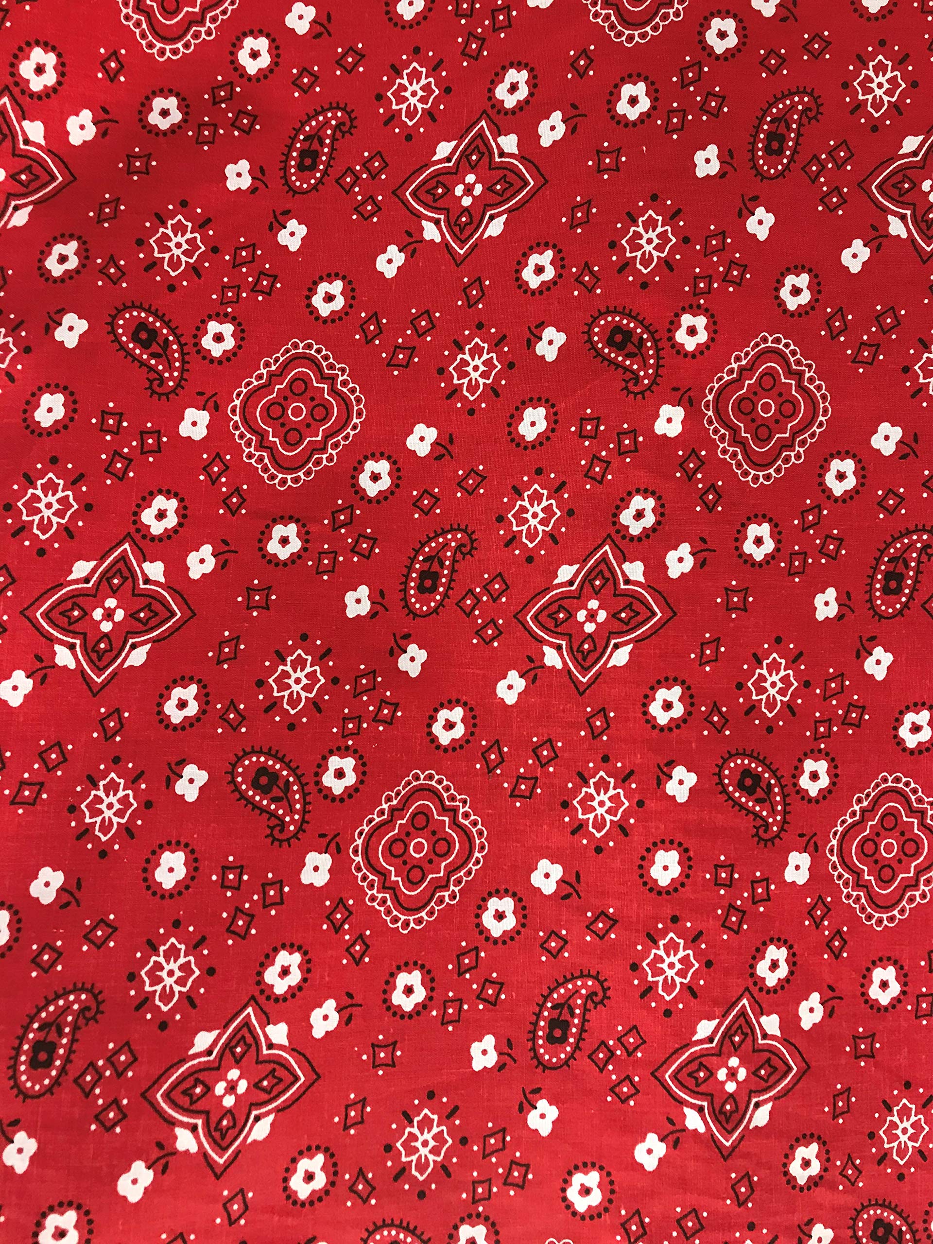 SAL TEX FABRICS, Paisley Bandanna Polyester Cotton Print Fabric, Sells by The Yard, Black, Royal, RED, Navy, Pink, Turquoise, White, Baby Blue. (RED)