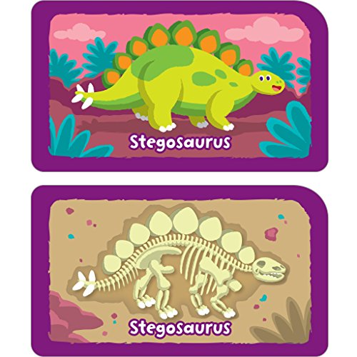 School Zone - Dino Dig Card Game - Ages 4+, Preschool to Kindergarten, Dinosaurs, Dinosaur Names, Counting, Matching, Vocabulary, and More (School Zone Game Card Series)