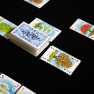 Renegade Game Studios Arboretum Strategy Card Game That Challenges 2-4 Players Aged 8 & Up to Create The Most Beautiful Garden (Packaging May Vary)