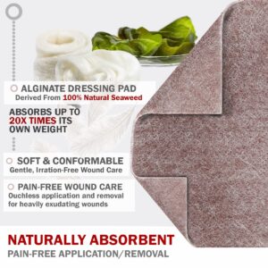 EVERLIT AG Silver Calcium Alginate Wound Dressing | Absorbent Non-Stick Sterile Dressing Pad | Gentle Hemostatic Gauze with Natural Gelling Fiber for Wound Care (4" x 4" | Pack of 10)