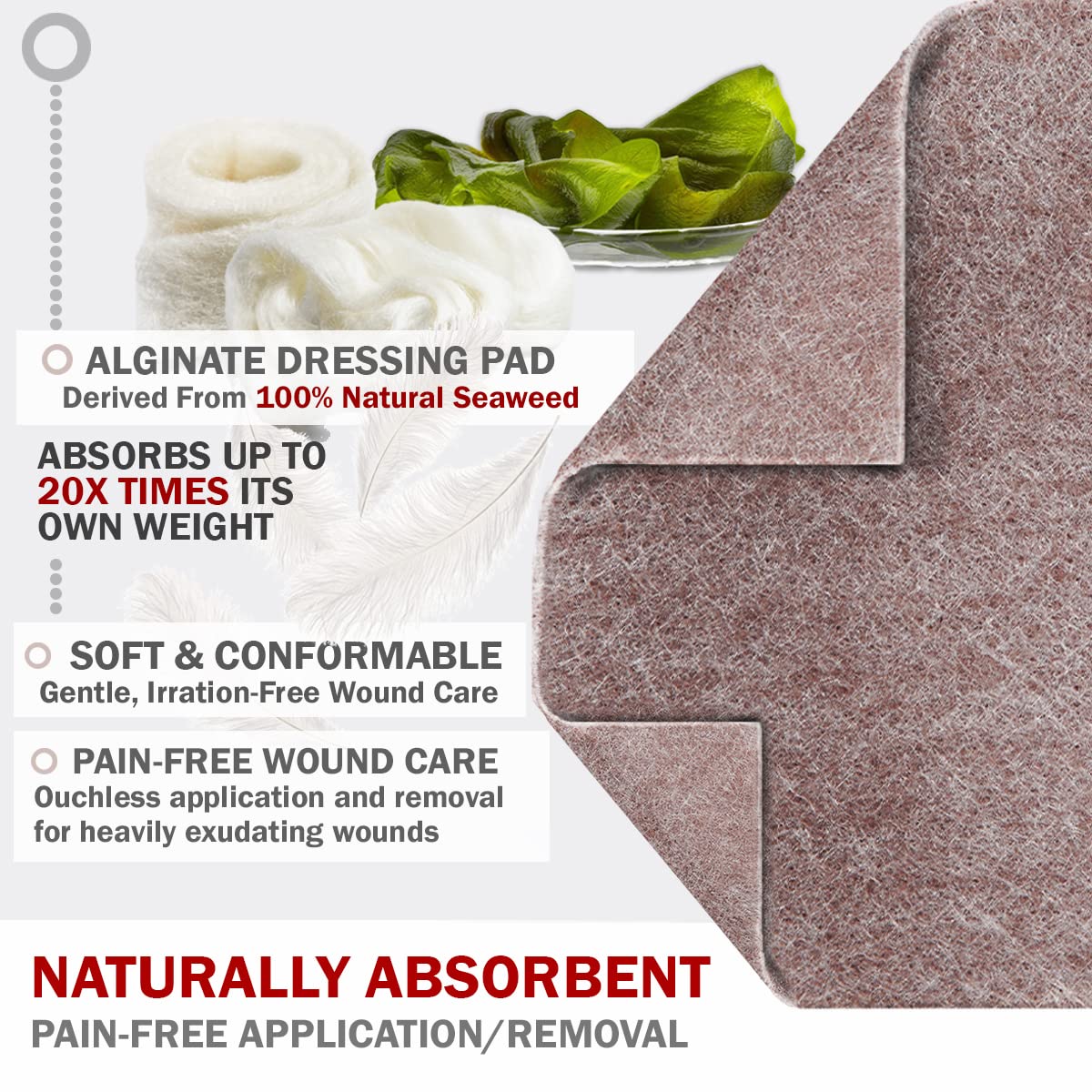 EVERLIT AG Silver Calcium Alginate Wound Dressing | Absorbent Non-Stick Sterile Dressing Pad | Gentle Hemostatic Gauze with Natural Gelling Fiber for Wound Care (4" x 4" | Pack of 10)