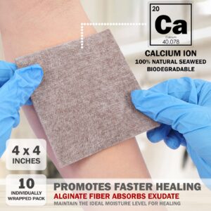 EVERLIT AG Silver Calcium Alginate Wound Dressing | Absorbent Non-Stick Sterile Dressing Pad | Gentle Hemostatic Gauze with Natural Gelling Fiber for Wound Care (4" x 4" | Pack of 10)