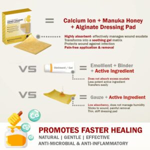 EVERLIT Honey Calcium Alginate Dressing 2” x 2” Pack of 10 | Sterile, Highly Absorbent Dressing With Pure Manuka Honey | Advanced Wound Care For Cuts, Skin Tears, Burns, Pressure Sores, Diabetic Ulcer