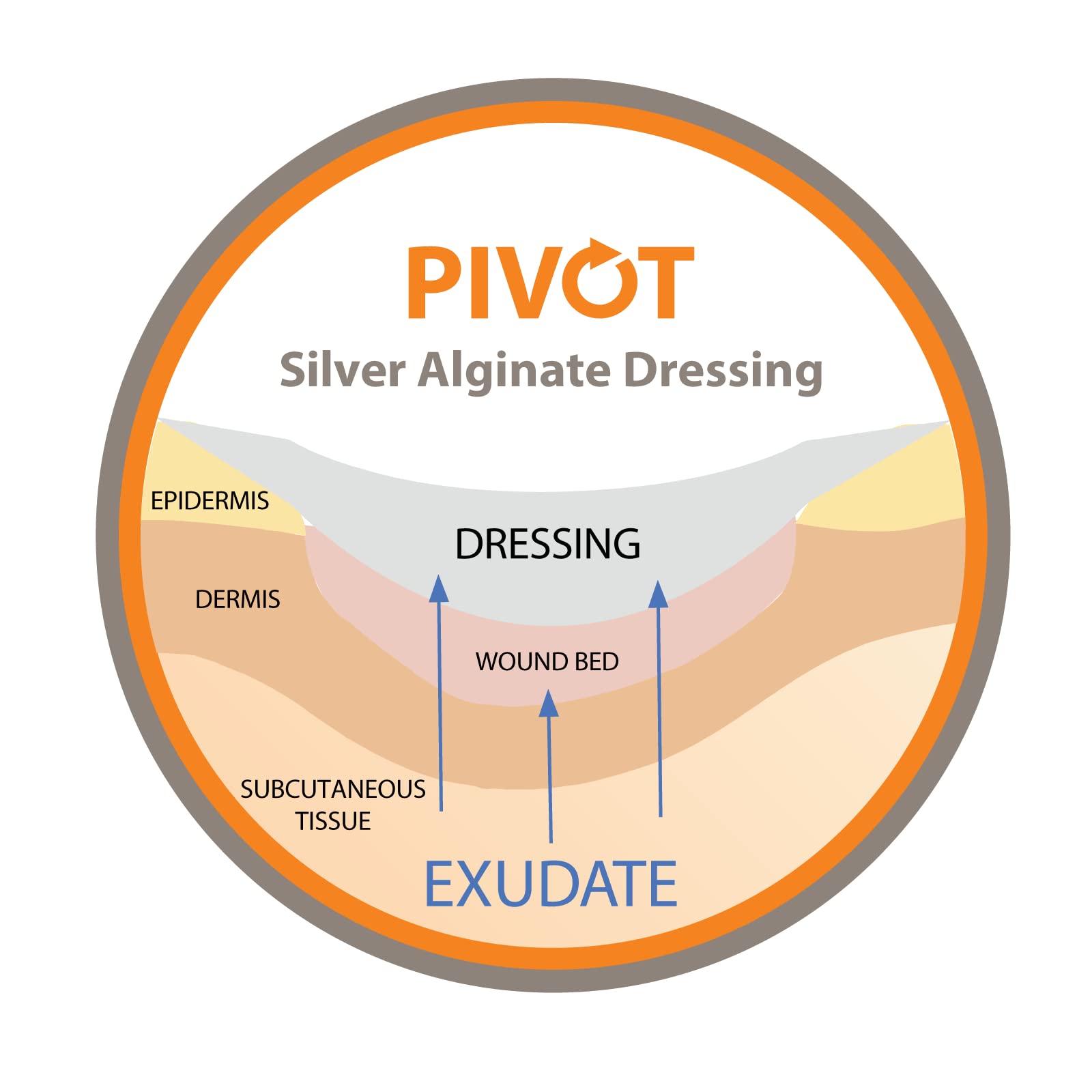 Pivot Silver Alginate Wound Dressing – All-Natural First Aid | 4x5 Dressings, Box of 10