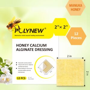 Polynew Manuka Honey Calcium Alginate Dressing, 12 Individual Pack, 2"x2" Patches, Honey Wound Dressing with Calcium Alginate, Manuka Honey Wound Care Bandages for Burns, Faster Wound Care