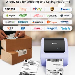 Phomemo Bluetooth Thermal Label Printer 4X6 - D520BT Wireless Shipping Label Printer Build-in Holder, Thermal Label Maker for Return Shipping Package, Compatible with Amazon, USPS, Shopify, Ebay