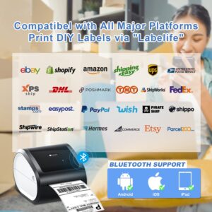 Phomemo Bluetooth Thermal Printer- D520-BT Shipping Label Printer 4x6 Printer for Small Business & Packages/Barcode/Address/Postage Label, Compatible with Shopify, FedEx, Ebay, Etsy