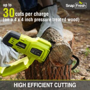 SnapFresh Mini Chainsaw Cordless, 5 Inch Electric Chain Saw Portable Handheld Chain Saw With 2.0Ah Battery & Fast Charger, Security Lock, for Tree Branches, Courtyard Garden