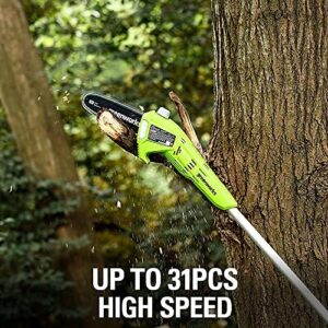 Greenworks 24V 8" Cordless Polesaw (Great For Pruning and Trimming Branches / 125+ Compatible Tools), 2.0Ah Battery and Charger Included