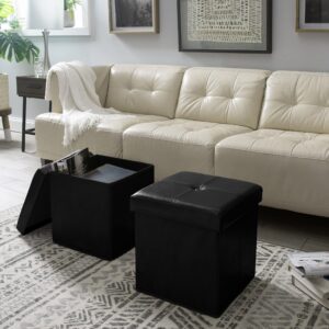 Simplify Faux Leather Cube Storage Ottoman, Black (F-0625-BLACK)