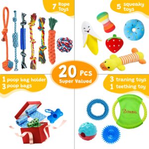 Zeaxuie 20 Pack Diversified Puppy Toys, Puppy Chew Toys for Teething Dogs with Dog Squeaky Toys, Dog Treat Balls & Rope Toys for Small Dogs