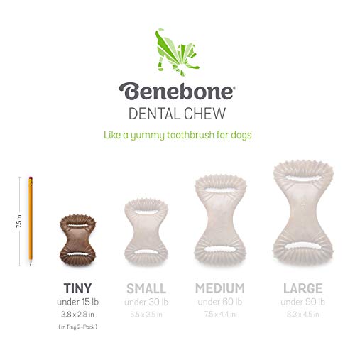 Benebone Puppy 2-Pack Dental Chew/Wishbone Dog Chew Toys, Made in USA, Real Bacon Flavor