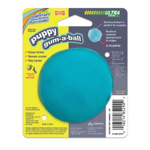 Nylabone Power Play Puppy Gum-a-Ball, Puppy Ball - Interactive Puppy Enrichment Toys - Puppy Must Haves (1 Count)