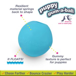 Nylabone Power Play Puppy Gum-a-Ball, Puppy Ball - Interactive Puppy Enrichment Toys - Puppy Must Haves (1 Count)