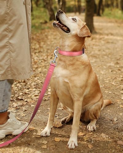 TagME Reflective Nylon Dog Collars, Adjustable Classic Dog Collar with Quick Release Buckle for Puppy, Baby Pink, 3/8" Width