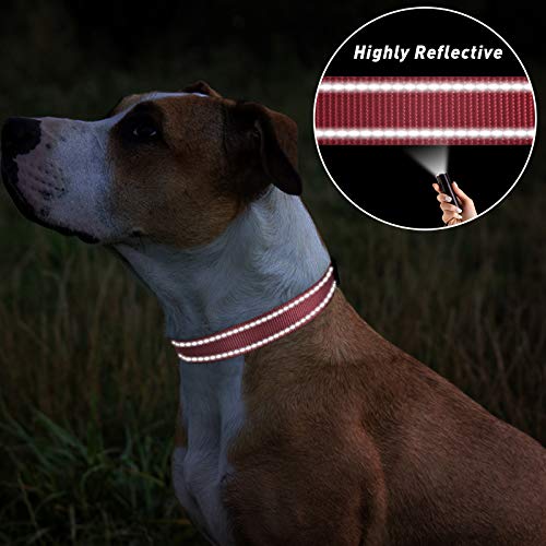 TagME Reflective Nylon Dog Collars, Adjustable Classic Dog Collar with Quick Release Buckle for Puppy, Baby Pink, 3/8" Width