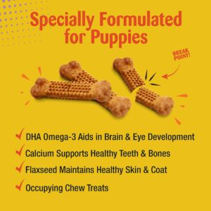 Nylabone Nubz Natural Turkey & Sweet Potato Flavor Edible Chew Treats for Dogs, Made in USA, Small - Up to 25 lbs. (8 Count)