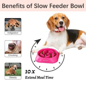 MateeyLife Slow Feeder Dog Bowls 2PCS, Anti-Choking Puzzle Dog Food Bowls, Anti-Slip Interactive Dog Feeding Bowls That Slow Down Eating, Bloat Stop Maze Dog Dishes for All Breads Pets Pink&Purple