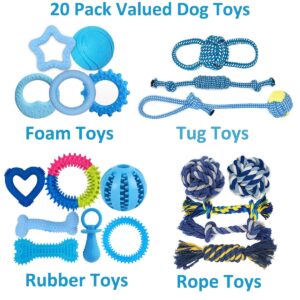 Beiker 20 Pack Puppy Chew Toys - Blue Dog Teething Toys for Puppies, Puppy Toys Teething Rings and Durable Ropes, Blue Rubber Toy Bundle for Small Dogs, Cute Interactive Dog Balls for Small Breed