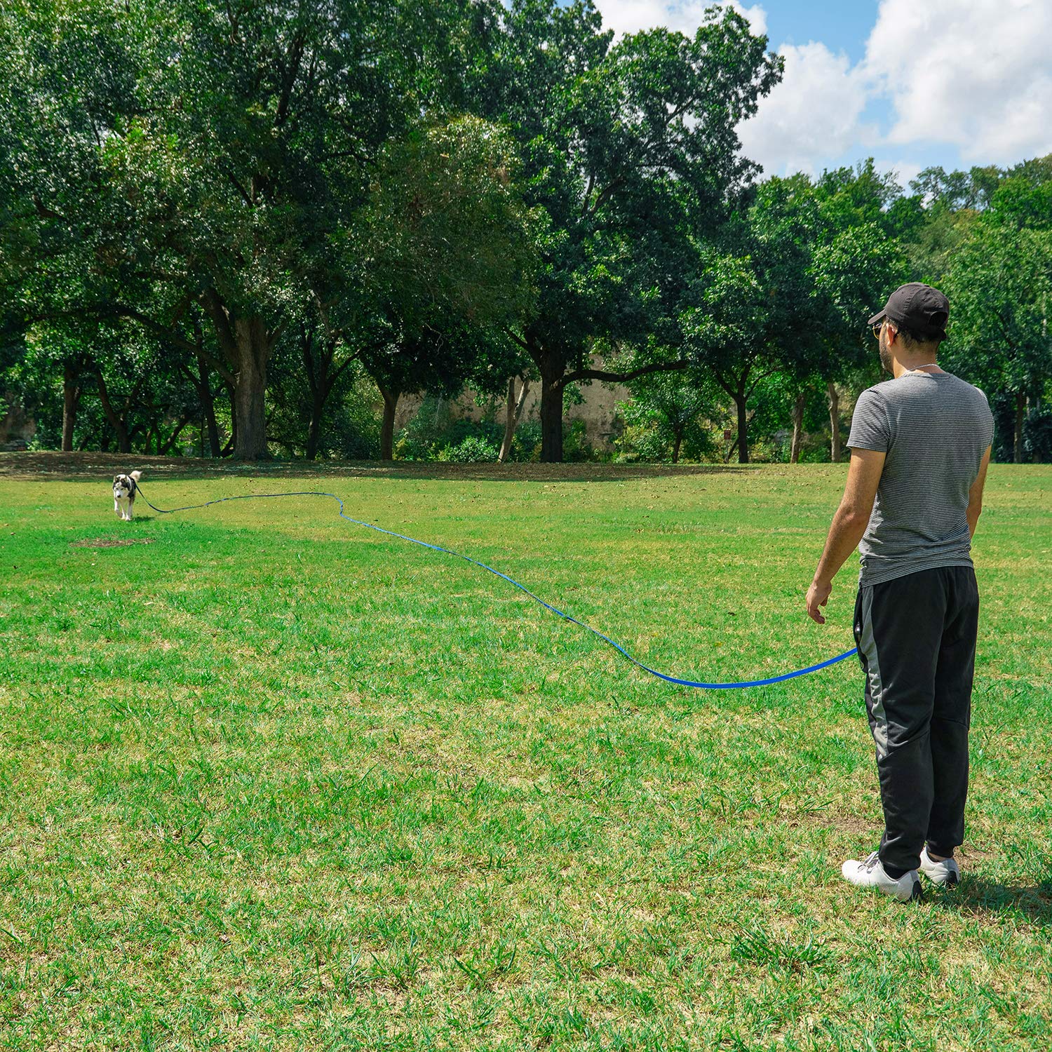 Hi Kiss Dog/Puppy Obedience Recall Training Agility Lead - 15ft 20ft 30ft 50ft 100ft Training Leash - Great for Training, Play, Camping, or Backyard Blue 15 Feet