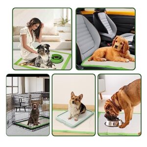 Gardner Pet Pee Pads for Dogs Extra Large 28"x34", XL Thicker ECO Green Disposable Xlarge Puppy Training Pads Super Absorbent Full Edge-Wrapping Pad for Dogs, Puppies, Doggie, Cats, Rabbits-(30 Count)