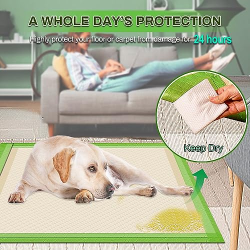 Gardner Pet Pee Pads for Dogs Extra Large 28"x34", XL Thicker ECO Green Disposable Xlarge Puppy Training Pads Super Absorbent Full Edge-Wrapping Pad for Dogs, Puppies, Doggie, Cats, Rabbits-(30 Count)