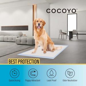 COCOYO Best Value Training Pads, 28" by 34" XL, 80 Count