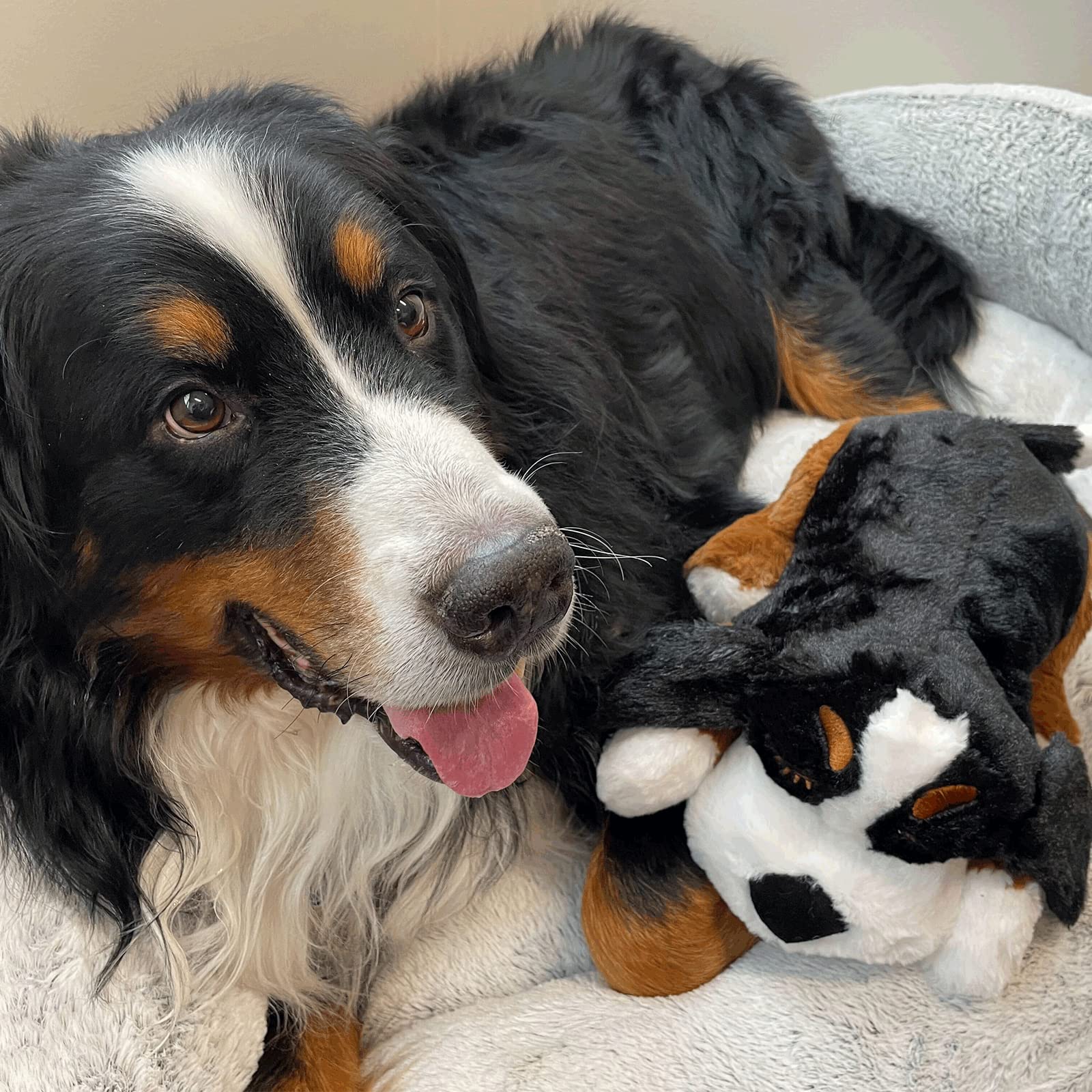Snuggle Puppy PLUS with 3 Heat Packs & ALL NEW Smartbeat Motion Activated RealFeel Heartbeat, Pet Anxiety Relief and Calming Aid - Comfort Toy for Behavioral Training (Bernese)