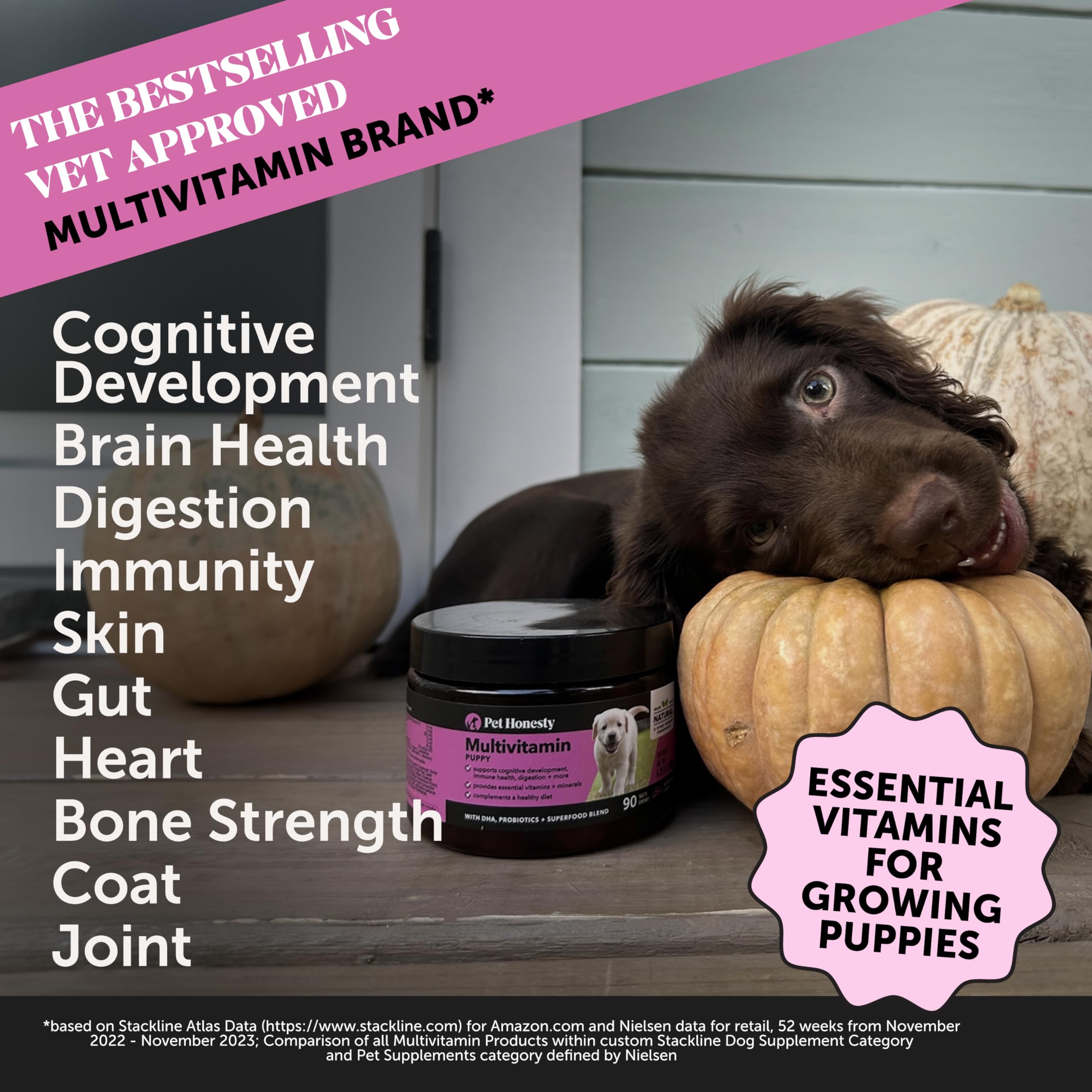 Pet Honesty Multivitamin Puppy Treats - Essential Dog Supplements & Vitamins for Learning and Cognitive Development- Probiotics, Omega Fish Oil for Health & Heart, Immune Health - Dog Health Supplies