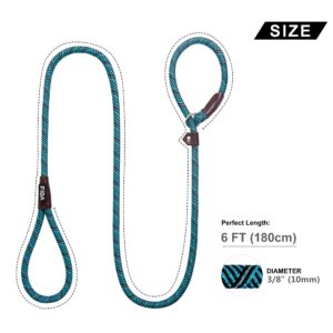 Fida Durable Slip Lead Dog Leash, 6 FT x 3/8" Heavy Duty Dog Loop Leash, Comfortable Strong Rope Slip Leash for Small Dogs and Puppies, No Pull Pet Training Leash with Highly Reflective(3/8", Blue)