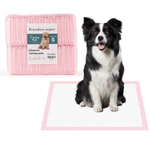 Super-Absorbent Leak-Proof Dog and Puppy Pet Training Pad, Housebreaking Puppy Pads Disposable (18" X 24" - Small 50PCS)