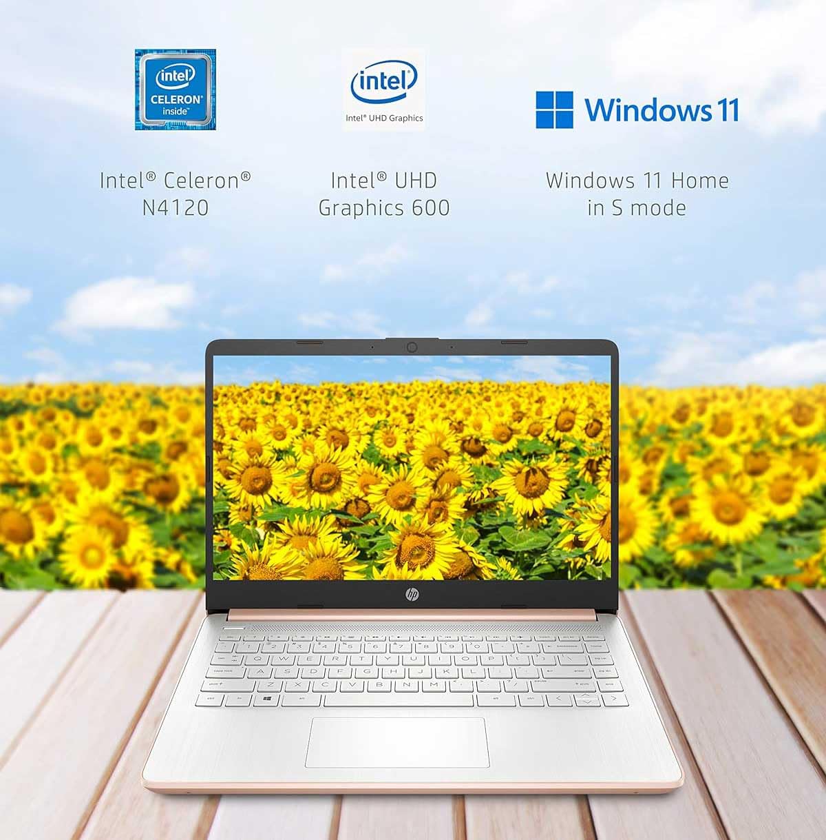 HP Newest 14in Schools and Business Laptop, Intel Quad-Core N4120 CPU, 8GB RAM, 64GB eMMC, 256GB Micro SD, 1-Y Office 365, Webcam, HDMI, WiFi, Win 11 S(Rose Gold), HP 14in