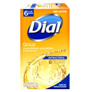 Dial Antibacterial Soap Bar, Gold, 6 Count (Pack of 2)