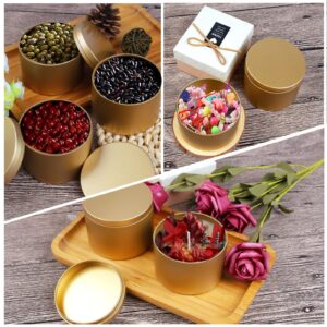 BBAXI 8 oz Candle Tins 24 Pcs，Empty Candle Jars for Making Candles，DIY Candle Containers，Round Metal Tins with Lids for Candle Making