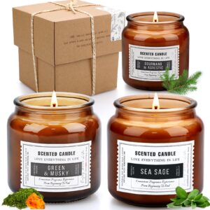 [300H, 46.5oz] Candles for Home Scented, 3 Pack Large Jar Soy Candles, Sage Candles, Aromatherapy Candles Set for Stress Relief, Candles for Men & Women, Glass Amber Jar Candles