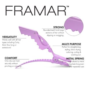 FRAMAR Pastel Alligator Hair Clips 10 Pack – Professional Alligator Clips For Hair, Hair Clips For Styling, Hair Styling Clips, Aligator Clips, Salon Hair Clips, Plastic Hair Clips